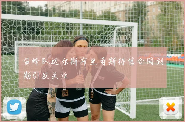 黄蜂队迈尔斯布里奇斯待售合同到期引发关注