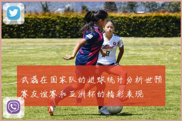 武磊在国家队的进球统计分析世预赛友谊赛和亚洲杯的精彩表现