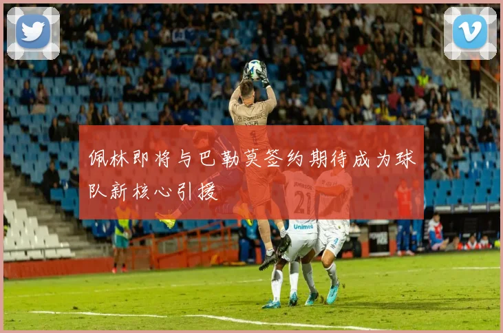 佩林即将与巴勒莫签约期待成为球队新核心引援