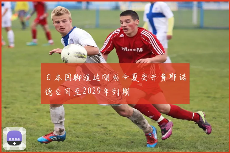 日本国脚渡边刚或今夏离开费耶诺德合同至2029年到期